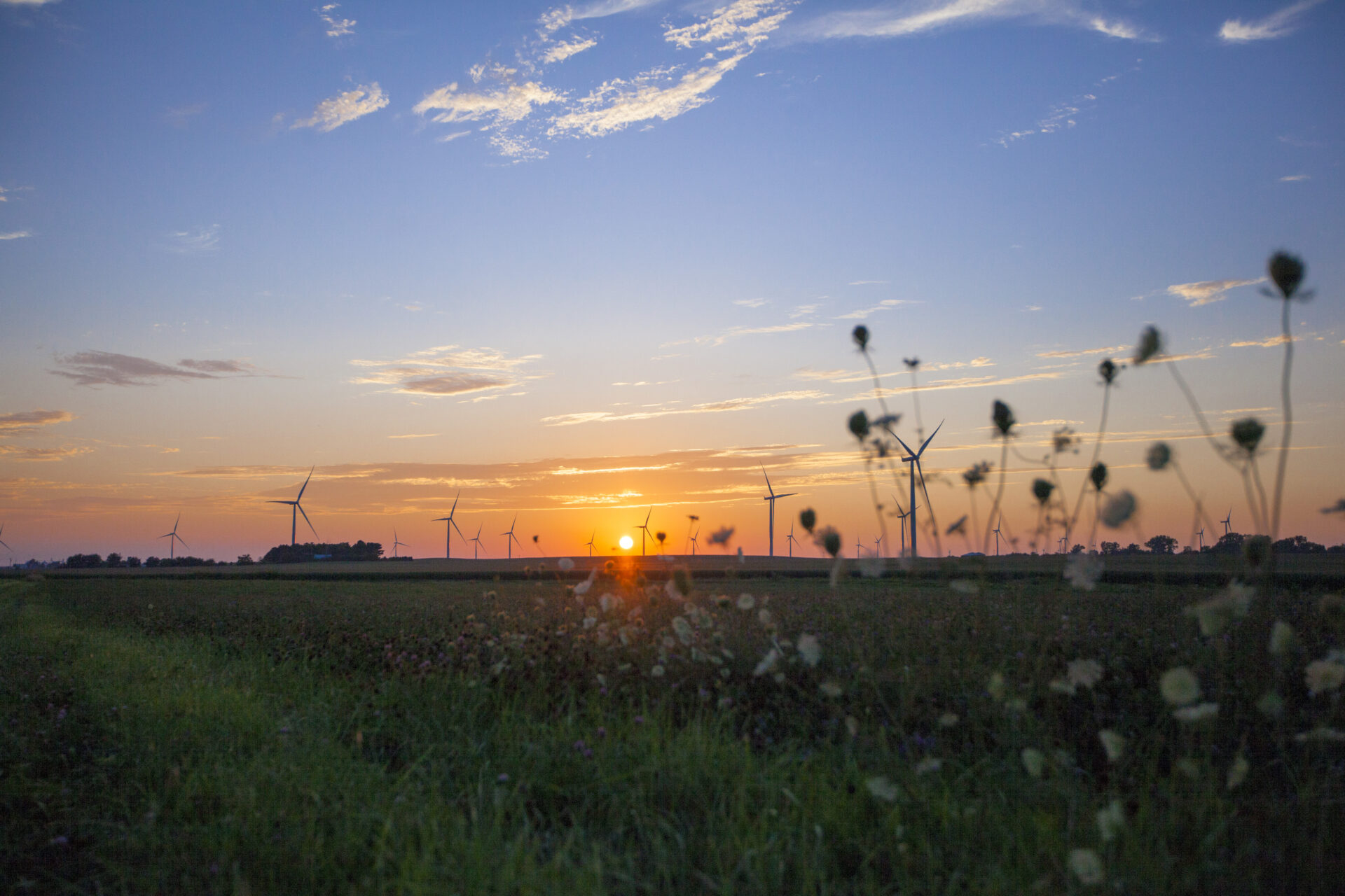 Amazon Wind Farm at Fowler Ridge (Photo from Matt Dallas / Pattern Energy)